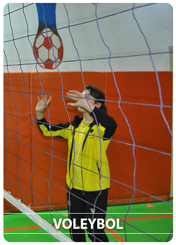 Voleybol